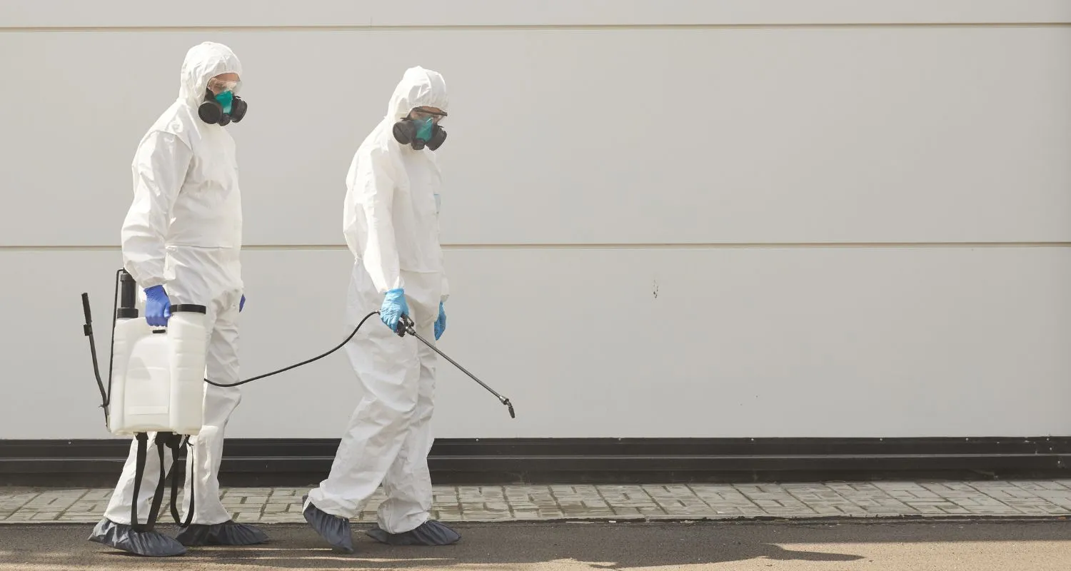 С 2024 года проводить дезинфекцию, дезинсекцию и дератизацию без лицензии будет запрещено