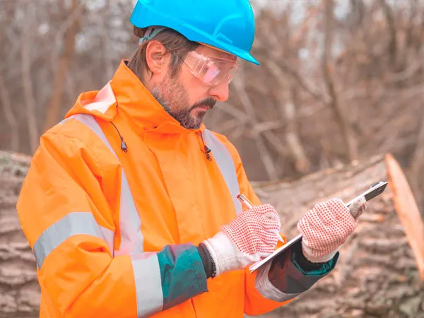 Обучение по планированию и организации лесохозяйственной деятельности - 520 ч.