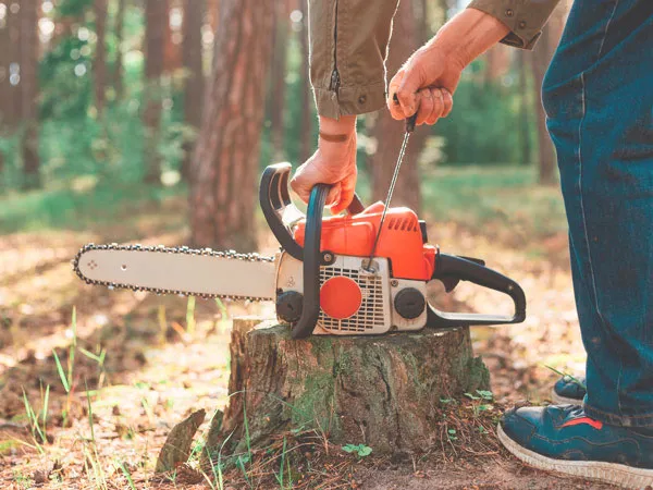 «Вальщик леса» – обучение профессии (140 часов)