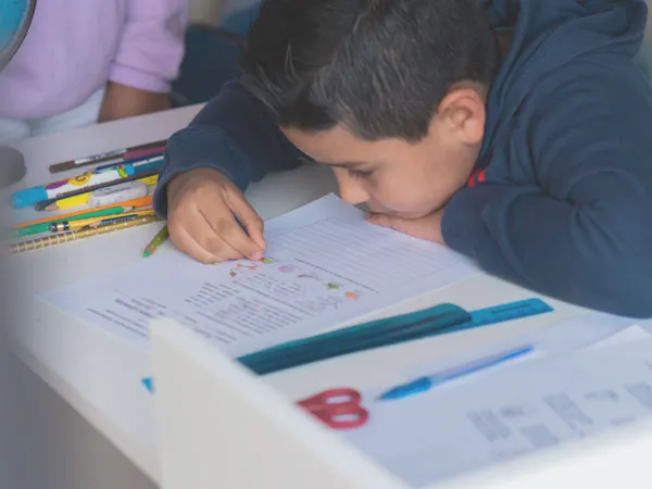 Организация деятельности педагога-дефектолога по направлению «Работа с обучающимися с умственной отсталостью (интеллектуальными нарушениями), с тяжелыми и множественными нарушениями развития»